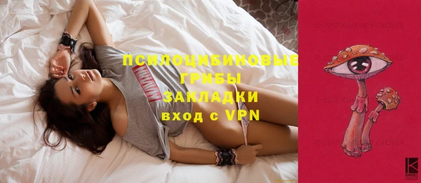 PSILOCYBIN Балахна