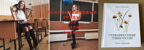 гашик Баксан