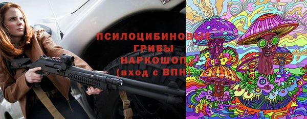 гашик Баксан
