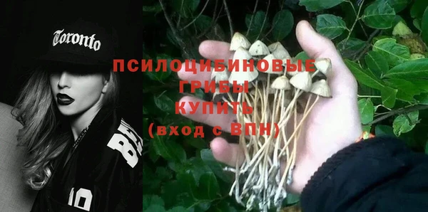 молекула духа Струнино
