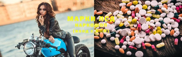 PSILOCYBIN Балахна